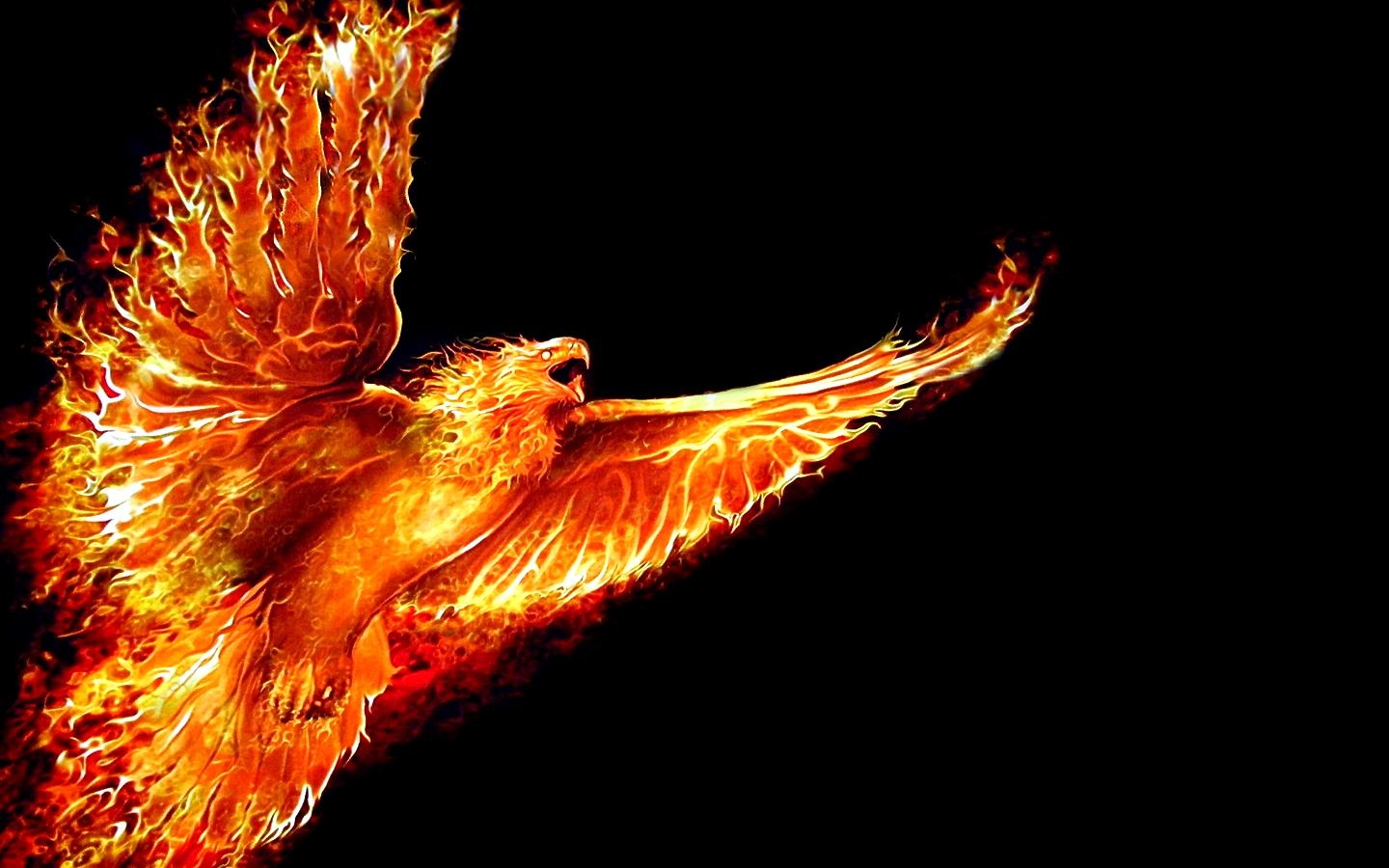 Image result for phoenix rises